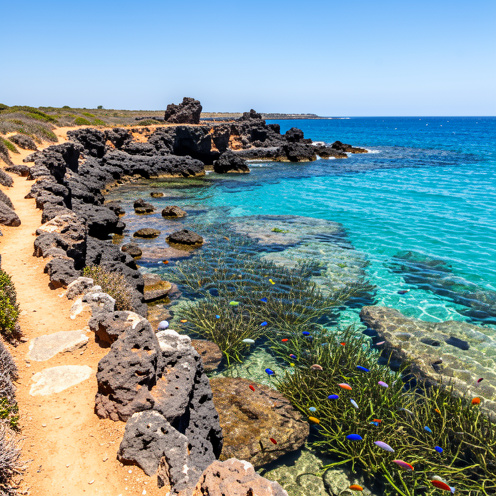 Sentier côtier du Cap d’Agde avec une vue sur les eaux turquoise, les rochers volcaniques et les fonds marins peuplés de poissons.